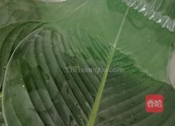 大米猪肉粽的做法图解7