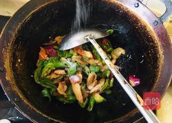 小炒肉的做法图解11