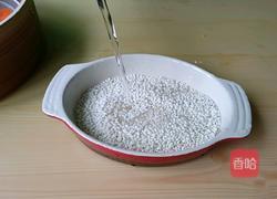 珍珠肉丸的做法图解1