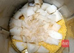雪梨百合米糊的做法图解5