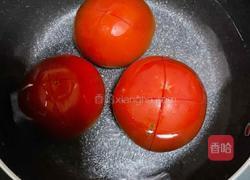 番茄鸡蛋盖饭的做法图解2