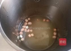 马蹄五谷米糊的做法图解4