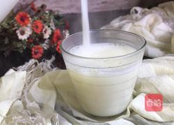 大米薏仁米豆浆的做法图解8