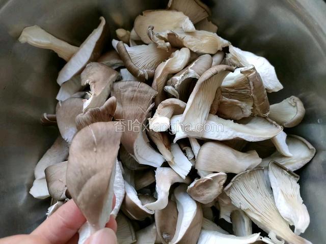 将蘑菇切去根部，掰开成小块。