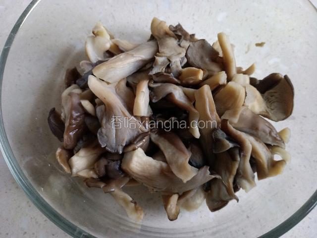 蘑菇放凉后攥干水分。
