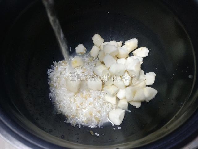 加入适量清水。