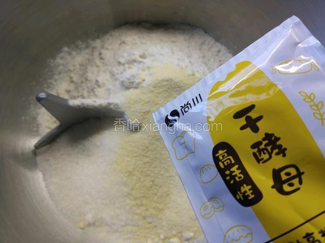 5g酵母