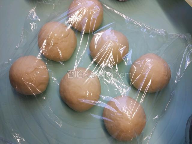 团圆盖保鲜膜 醒发十分钟