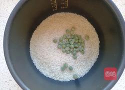 豌豆小饭团的做法图解3