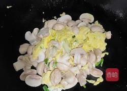 口蘑鸡蛋盖饭的做法图解7