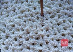 自制甜酒酿的做法图解4