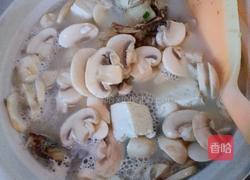 砂锅鲫鱼蘑菇豆腐汤的做法图解8