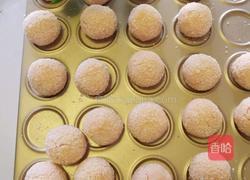 粉色回忆（椰蓉球）的做法图解17