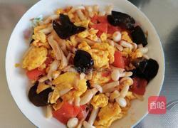 西红柿木耳白玉菇炒鸡蛋的做法图解11
