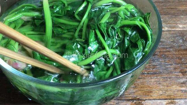 捞出过凉开水，再捞出挤干水份