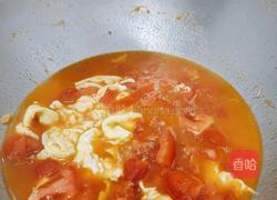 西红柿鸡蛋面的做法图解11