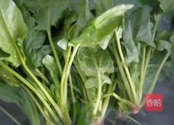 凉拌菠菜的做法图解2
