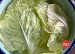 素炒莲花白的做法图解1