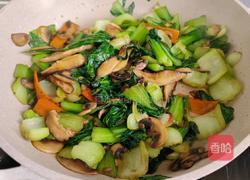 菌菇炒青菜的做法图解11
