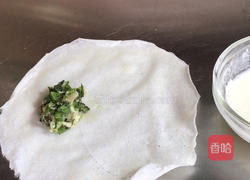 地菜春卷的做法图解7