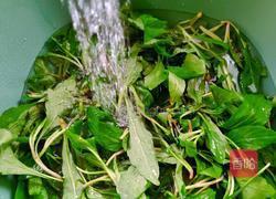 马兰炒香干的做法图解3