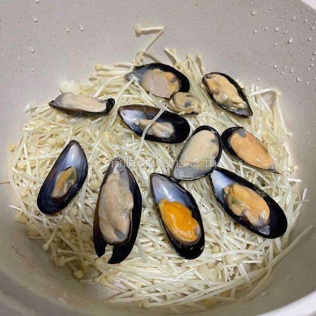 铺上贻贝