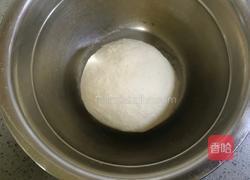 香菜肉饼的做法图解4