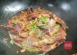 腊肉烧腊鱼的做法图解11