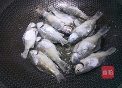 红烧鲫鱼的做法图解6