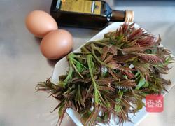 香椿芽鸡蛋饼的做法图解1