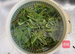 香椿芽鸡蛋饼的做法图解4