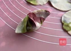 彩色饺子 的做法图解7