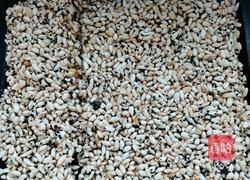 米花糖的做法图解11