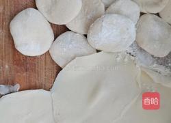 津味素蒸饺的做法图解18