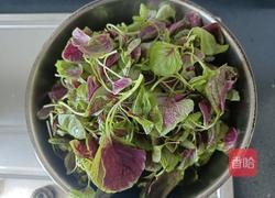 清炒红米苋的做法图解3