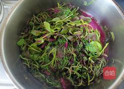 清炒红米苋的做法图解4