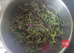 清炒红米苋的做法图解5