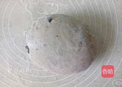 葡萄干花环面包（一次发酵）的做法图解6