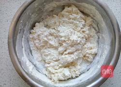 猪肉大葱馅小笼包的做法图解4