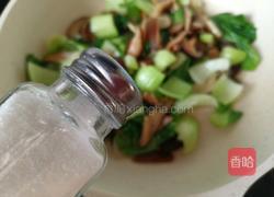 橄榄油香菇油菜的做法图解9