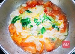 西红柿鸡蛋豆腐皮汤的做法图解10