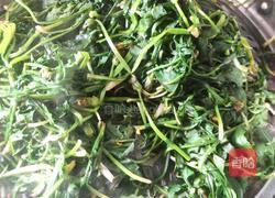 蒲公英茶的做法图解3