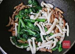 白玉菇炒肉的做法图解6