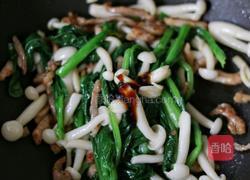 白玉菇炒肉的做法图解7