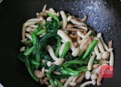 白玉菇炒肉的做法图解8