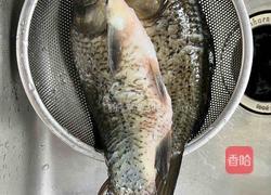 毛豆烧鲫鱼的做法图解2