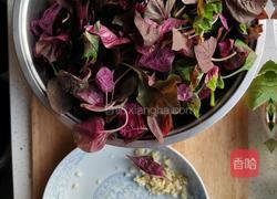 蒜瓣炒苋菜的做法图解1