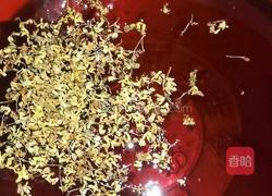 夏天特该喝的酸梅汤的做法图解6