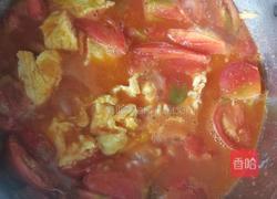 西红柿炒鸡蛋的做法图解14