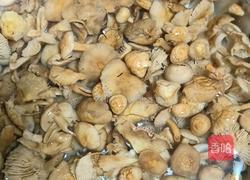 馄饨皮小蒸包的做法图解6